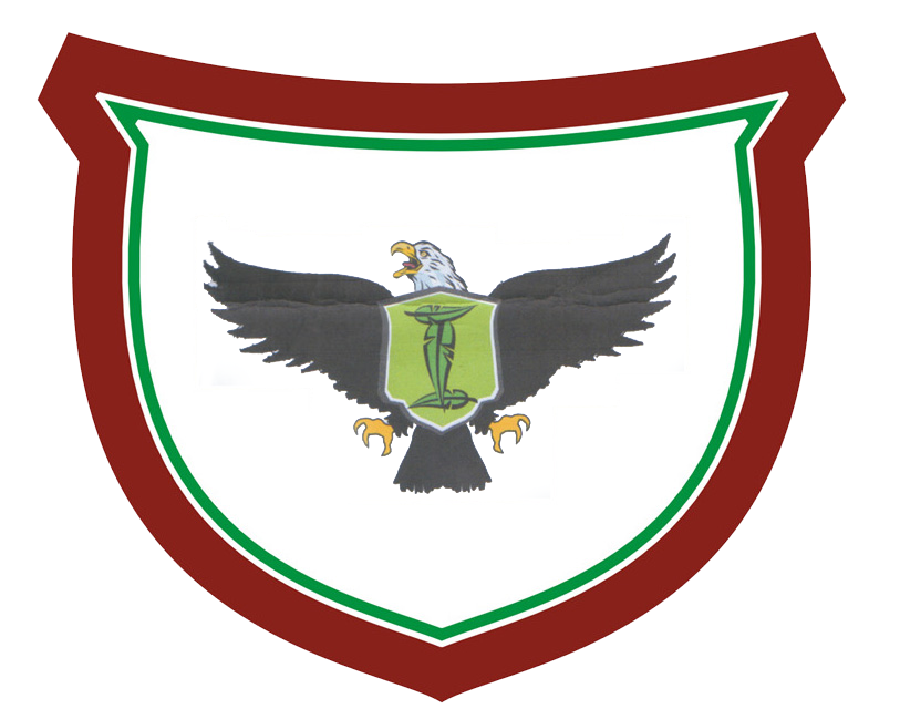 Logo 1
